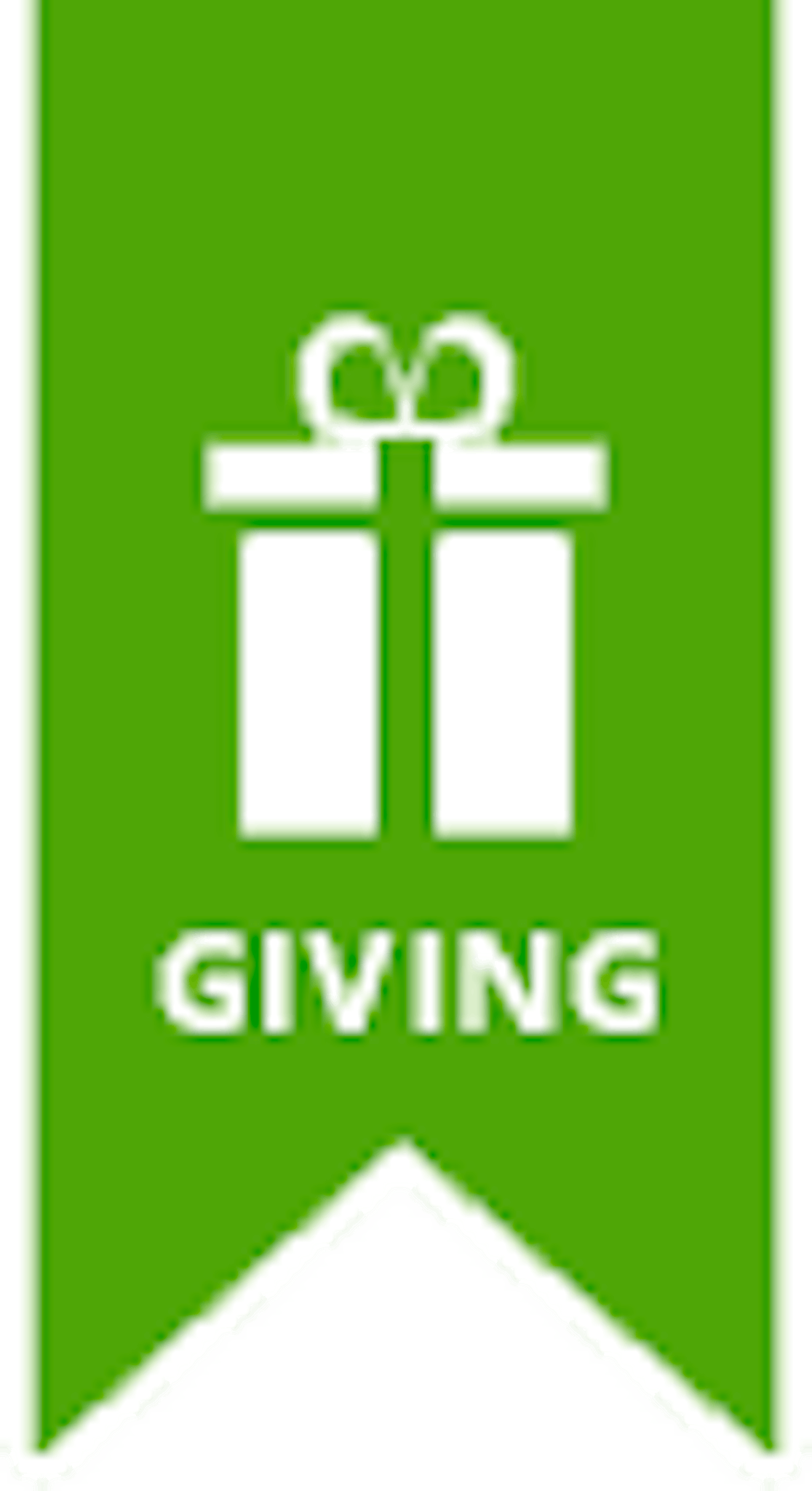 Isabella Center for Rehab and Nursing Care, NY MJHS Health System